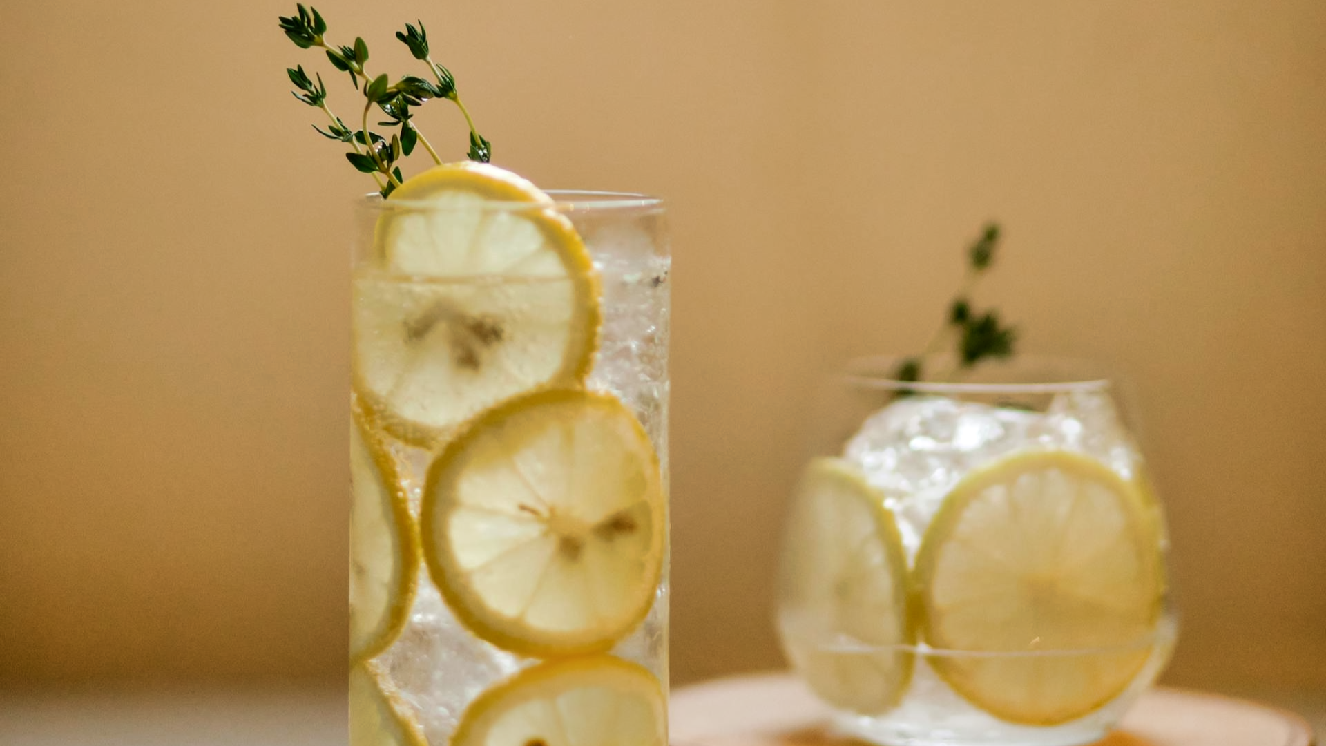 A highball and a low bulb style glass of lemon sour with slices of lemon and garnishing on top.