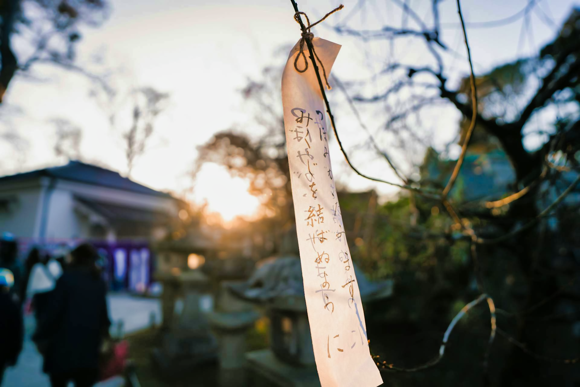 A Tanabata wish tied to a branch fluttering in the wind with the sun setting in the background.