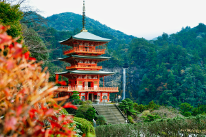 A view of the Nachiyama Pagoda on the Kumano Kodo Trail.